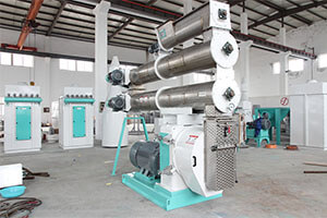 Poultry Feed Pellet Mill Machine 