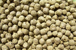 Extruded Fish Feed Pellets