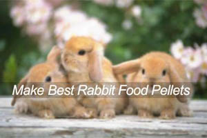 feed pellet for rabbit farm