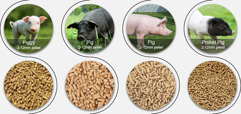 pig feed pellets