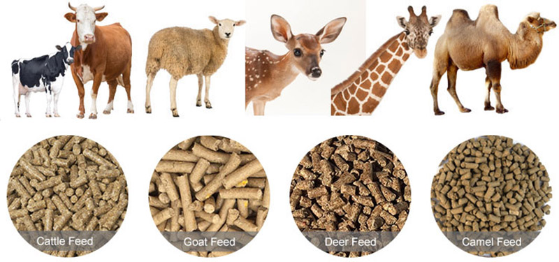 dairy animal feed pellets