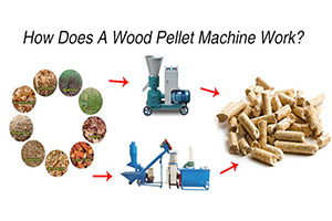 Biomasss Pellet Machine