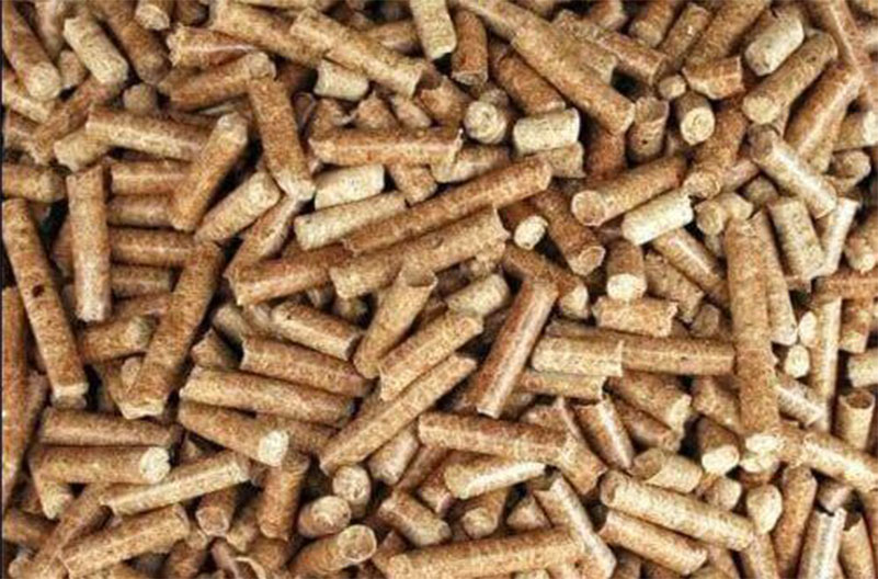 biomass wood pellets-2