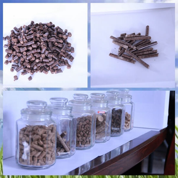 biomass wood pellets-3