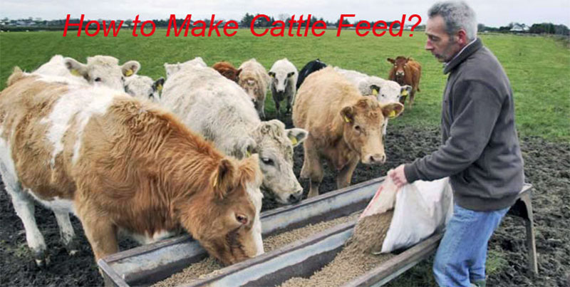 cattle feed pellets for farming