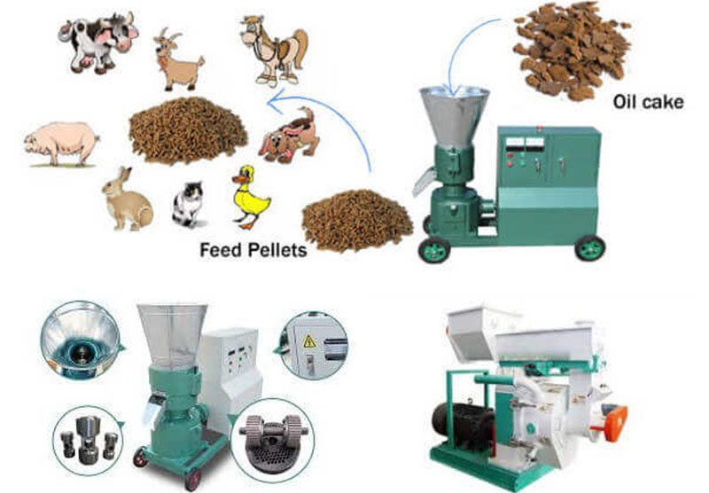 feed pellet machine