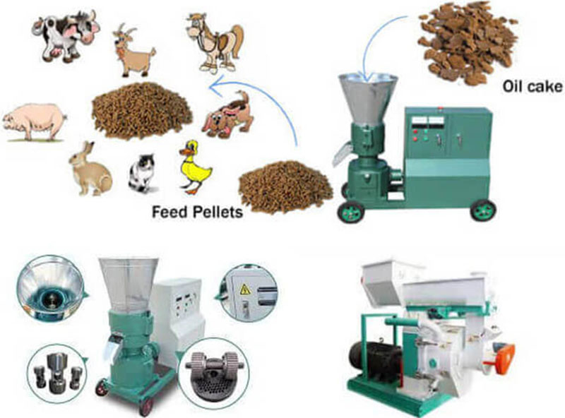 flat die feed pellet mill