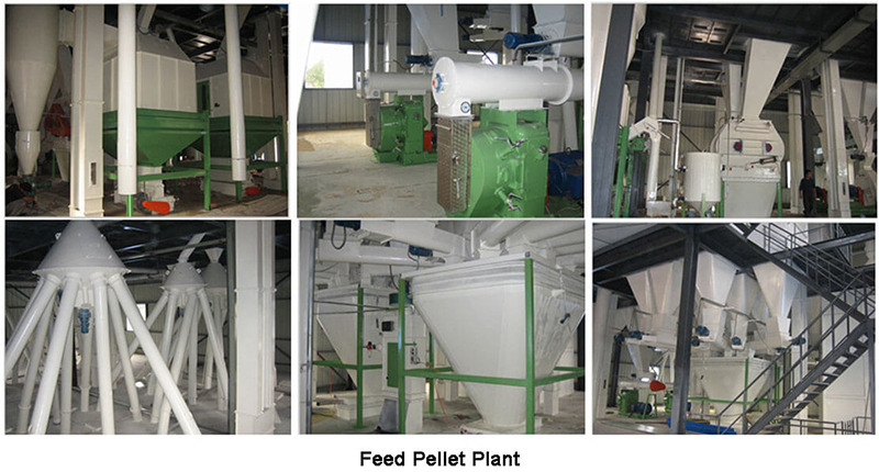 poultry feed mill plant
