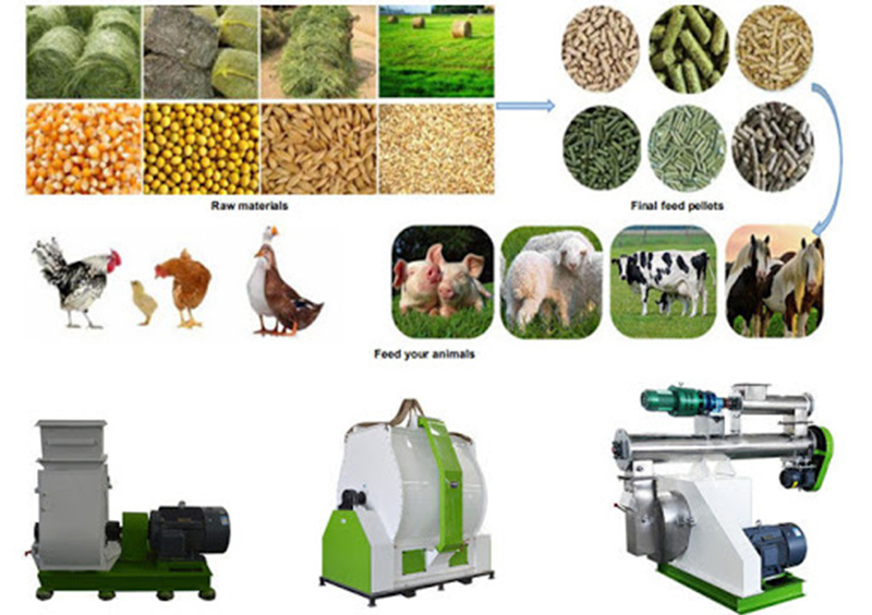 livetock feed pellet production process