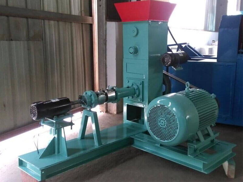 dry fish feed extruder