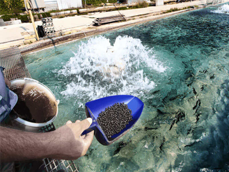 fish feed pellets