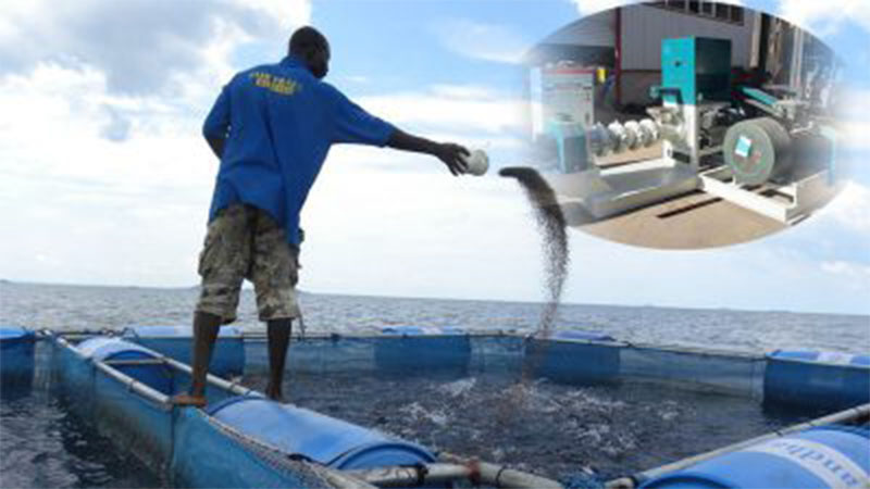 floating fish feed pellets for fish farming