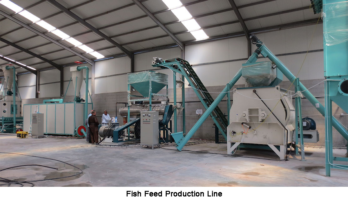 fish feed production line