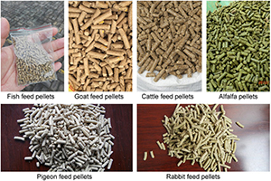 animal feed pellets