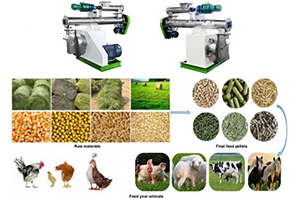 Animal Feed Pellet Making Machine