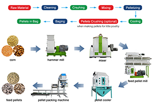 Animal Feed Pellet Making Machine 