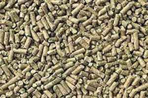 Animal Feed Pellets