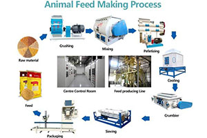 animal feed plant