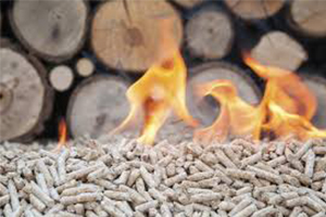 biomass pellets