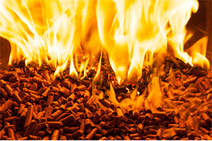 Biomass Pellet Fuel