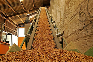 biomass pellet fuel