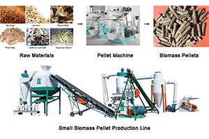 Biomass Wood Pellet Machine 