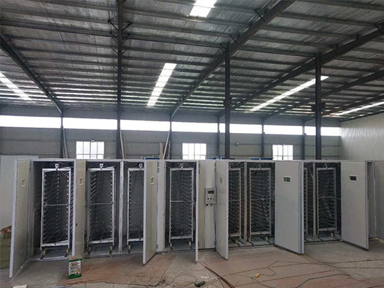 large scale incubator