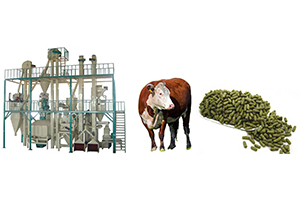 Cattle Feed Pellet Plant