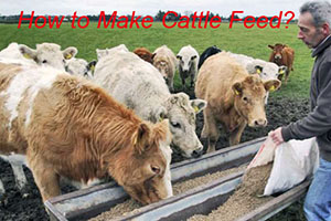 cattle feed pellets for farming