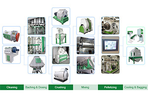 Animal Feed Pellet Production Line