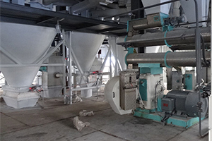 Feed Pellet Machine