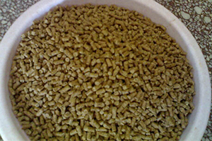 animal feed pellets