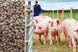 Pig Feed Pellet For Farming 