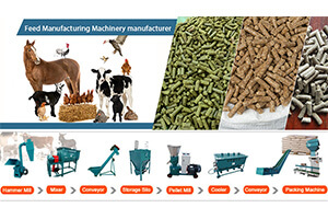 Feed Pellet Making Machine 