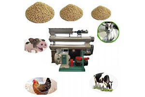 Pellet Making Machinery