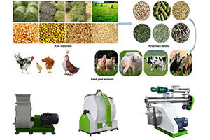 Poultry Feed Pellet Making Machine 