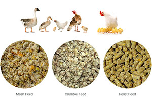 feed pellets for poultry farming 