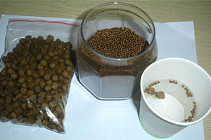 Fish Feed Pellets