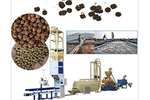 Fish Feed Pellet Making Machine