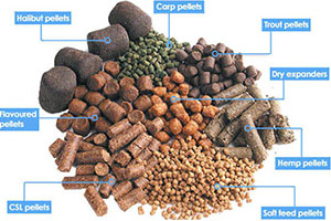 Fish Feed Pellets