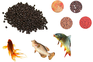 Aquatic Feed Pellets For Farming