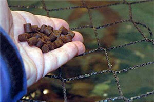 Aquatic Feed Pellets For Farming