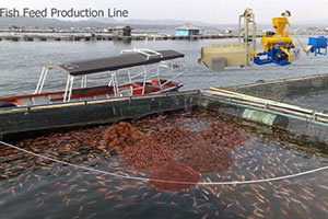 Fish Feed Production Line For Farming 