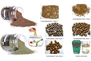 Fish Feed Pellets