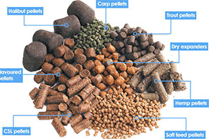 Fish Feed Pellets