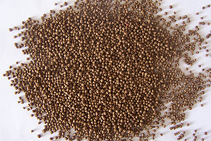 Fish Feed Pellets