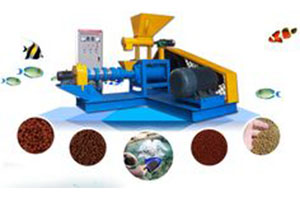 Fish Feed Machine