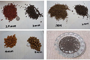 Fish Feed Pellets For Farming 