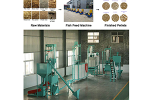 Fish Feed Production Line