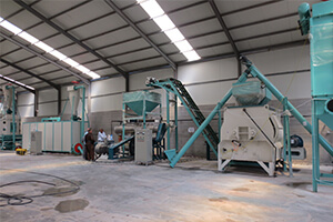 Fish Feed Production Line